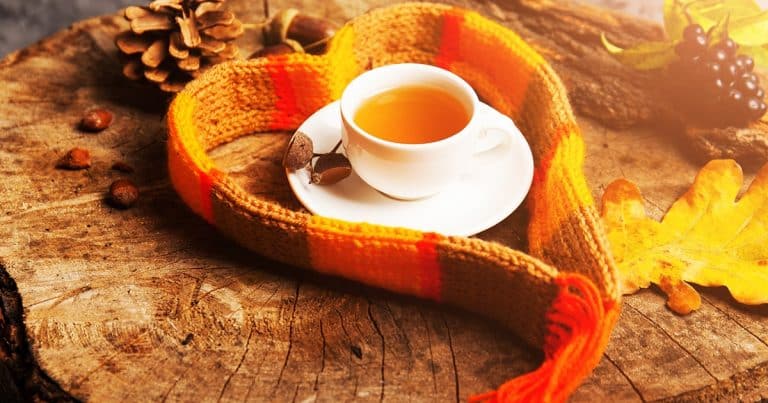Boosting Your Immunity for the Fall and Winter Season