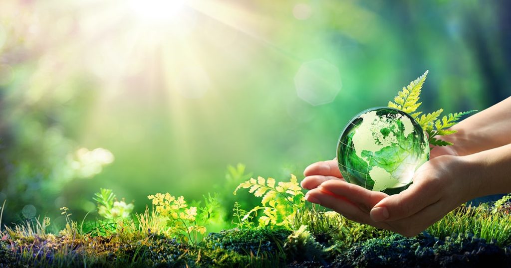 Understanding Eco-certifications: What Do They Really Mean?