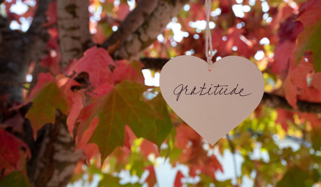 Meaningful Ways to Show Gratitude This Thanksgiving