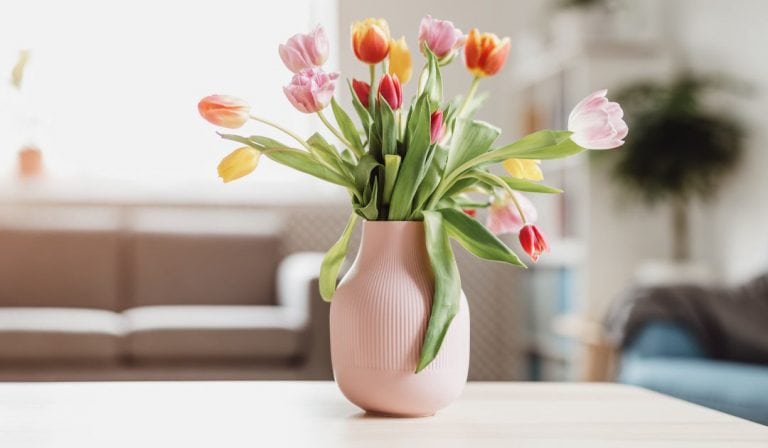 Bringing Spring Energy Into Your Home